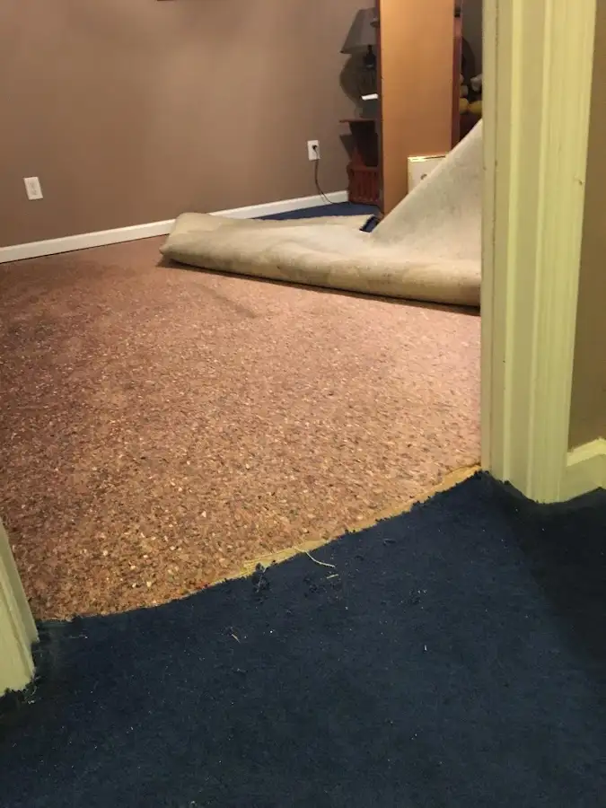 Carpet pad removal revealing water damage during Water Mitigation Services in Gloucester Point