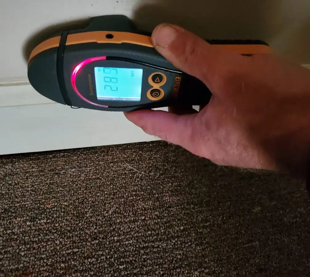 Moisture detection at baseboard during Storm Damage Restoration in Gloucester Point